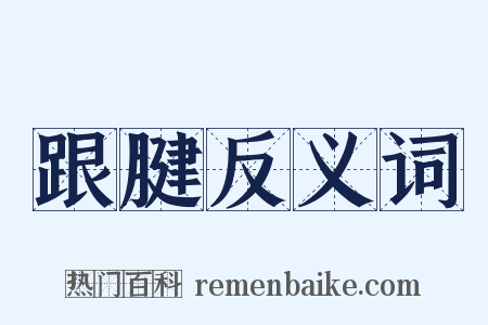 跟腱反义词是什么意思的图片